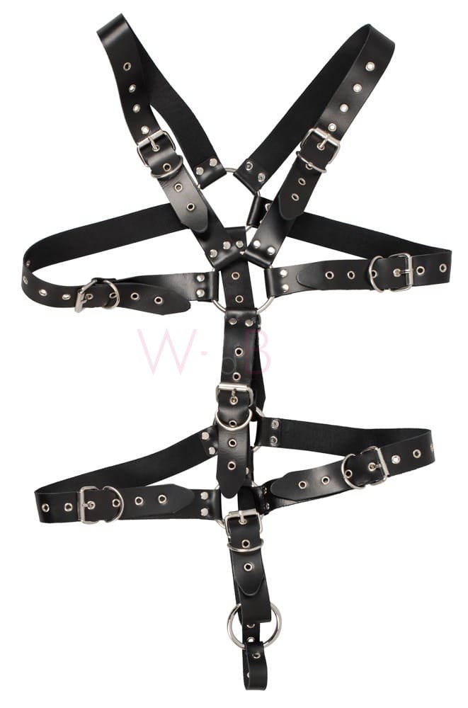 Men's Leather Harness with Penis and Testicle Ring - Image 3