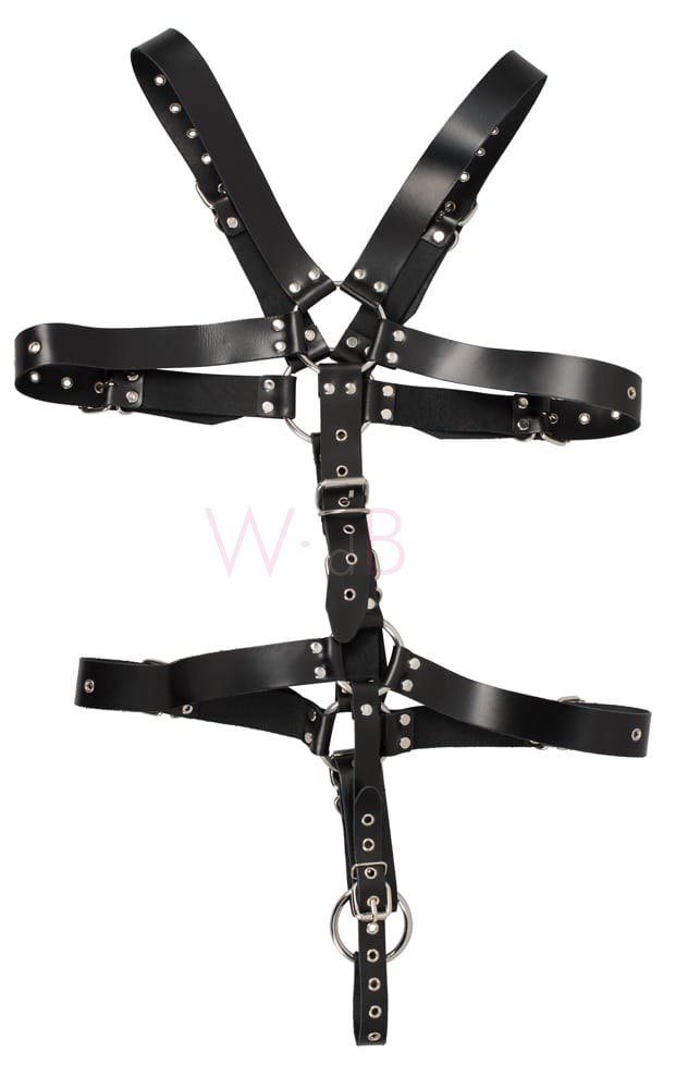 Men's Leather Harness with Penis and Testicle Ring - Image 4