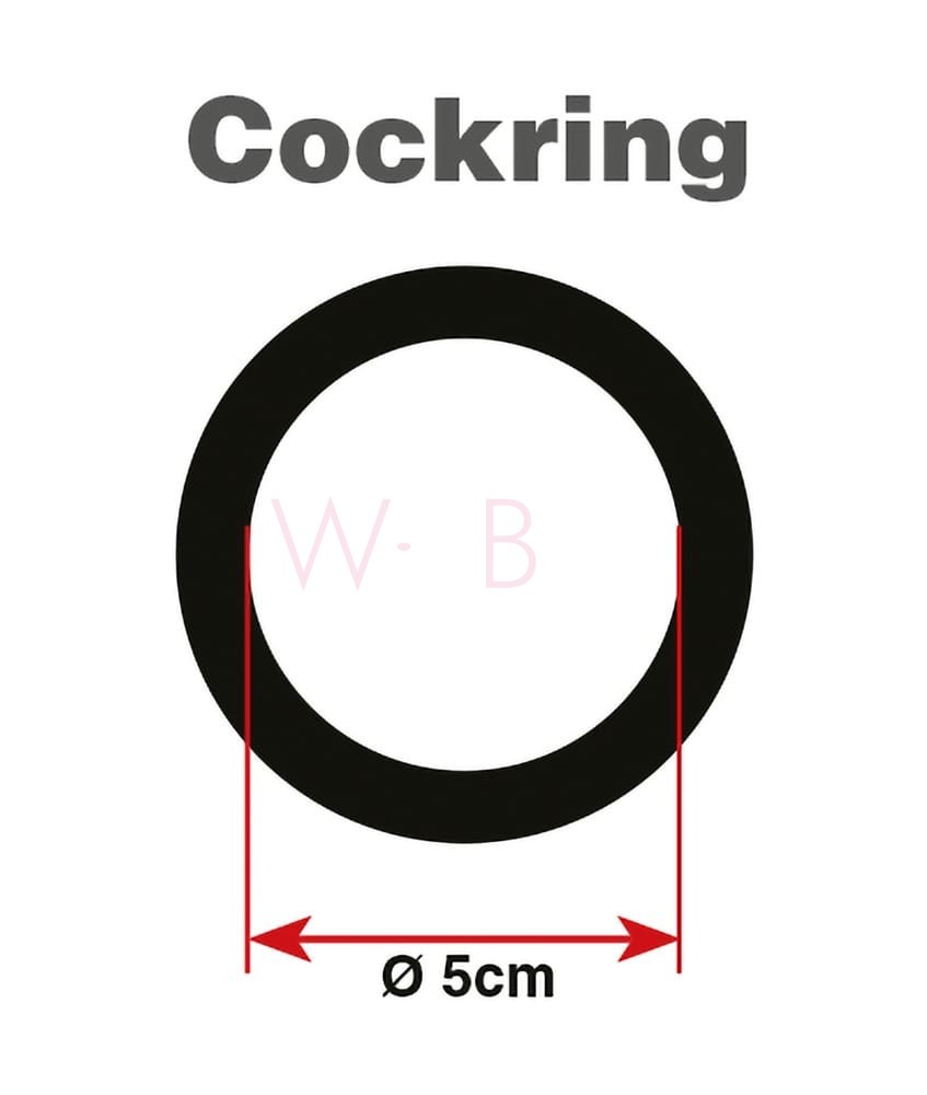 Men's Leather Harness with Penis and Testicle Ring - Image 6