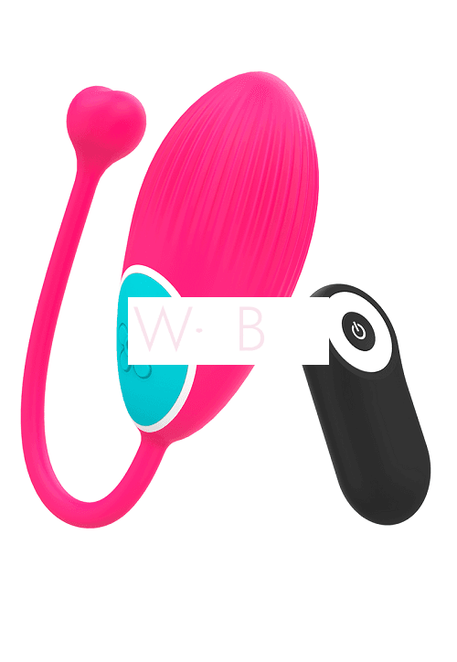 Remote-Controlled Vibrating Egg