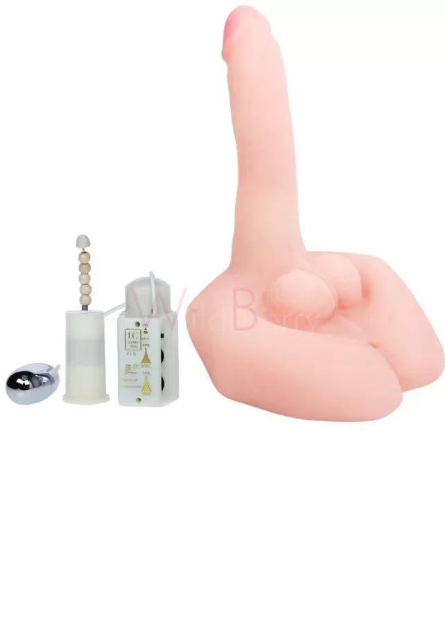 MR BIG REALISTIC PENIS AND ANUS MASTURBATOR